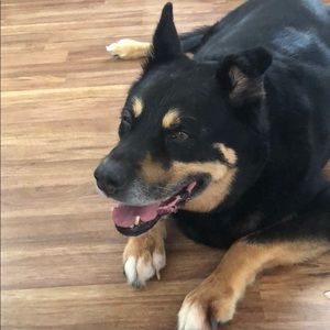 Meet your Posher, Sandra